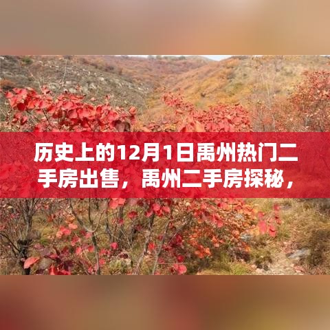 禹州二手房探秘，揭秘歷史中的熱門房源與自然美景的不期而遇