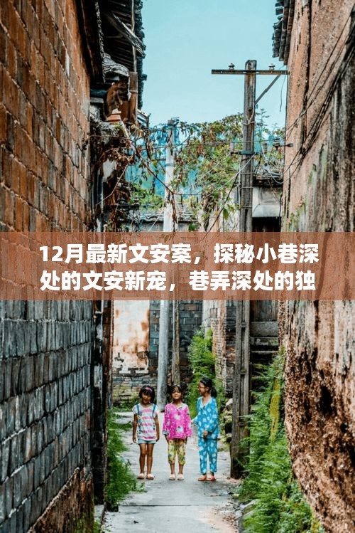 探秘文安案，巷弄深處的獨特風(fēng)味小店新寵