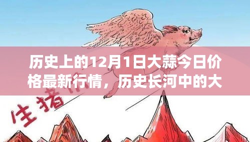 大蒜風(fēng)云，歷史價(jià)值變遷與今日市場(chǎng)最新行情回顧的探尋之路