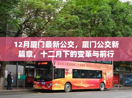 廈門公交新篇章，十二月下的變革與前行之路