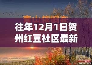 賀州紅豆社區(qū)往年1月1日最新主題深度評(píng)測與介紹