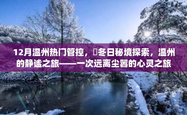 溫州冬季秘境探索，靜謐之旅的心靈之旅，12月熱門管控下的冬日秘境體驗(yàn)