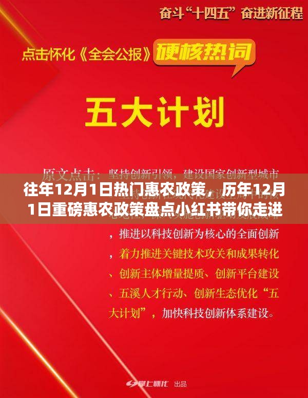 歷年12月1日惠農(nóng)政策盤點，走進(jìn)紅利時代的鄉(xiāng)村福利小紅書分享會