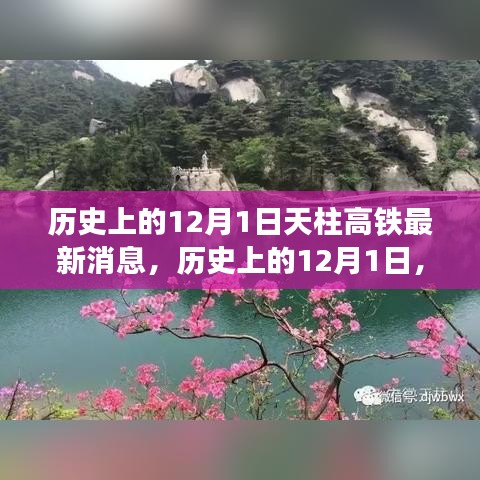 天柱高鐵最新進(jìn)展報(bào)道，歷史上的12月1日最新消息速遞