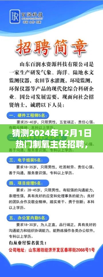 把握未來(lái)，挑戰(zhàn)熱門制氧主任崗位，2024年招聘展望與自我超越之路