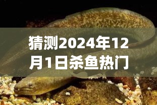 揭秘小巷深處的特色小店，預測未來殺魚熱門套路，味蕾與獵奇的盛宴（XXXX年殺魚新趨勢）