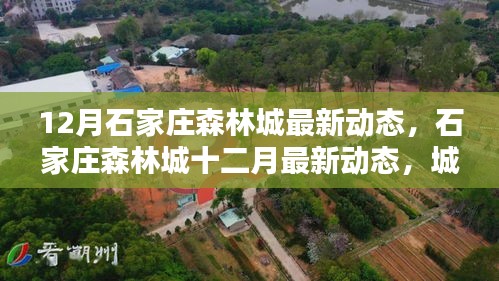 石家莊森林城十二月最新動(dòng)態(tài)，城市綠肺新篇章開啟