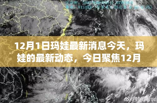 聚焦今日，瑪娃最新動(dòng)態(tài) 12月1日消息