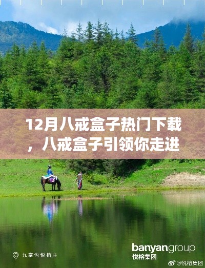 八戒盒子引領(lǐng)心靈之旅，12月熱門下載開(kāi)啟自然美景探索之旅