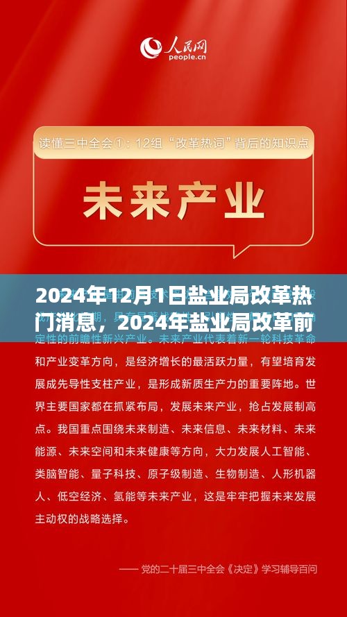 鹽業(yè)局改革前沿動(dòng)態(tài)，創(chuàng)新策略與未來(lái)展望（2024年鹽業(yè)局改革熱門消息）