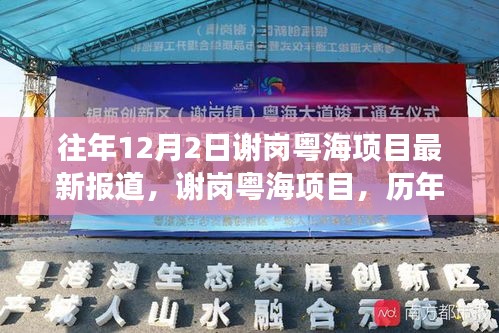 謝崗粵海項目歷年深度解讀與最新進展報道，歷年12月2日最新報道匯總分析
