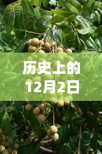 歷史上的今天，西安桂圓西苑科技新品重磅發(fā)布，智能革命風(fēng)暴掀起未來科技新生活體驗