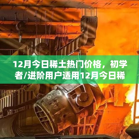 12月今日稀土熱門價(jià)格詳解，初學(xué)者與進(jìn)階用戶查詢及解讀指南