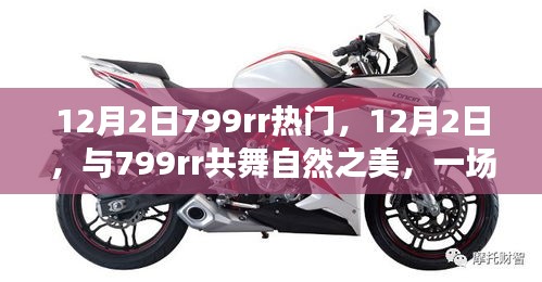 12月2日與799rr共舞自然，奇妙旅行尋找內(nèi)心平靜之旅