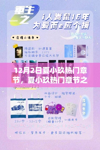 夏小玖熱門章節(jié)探析與個人立場闡述，12月2日之我見