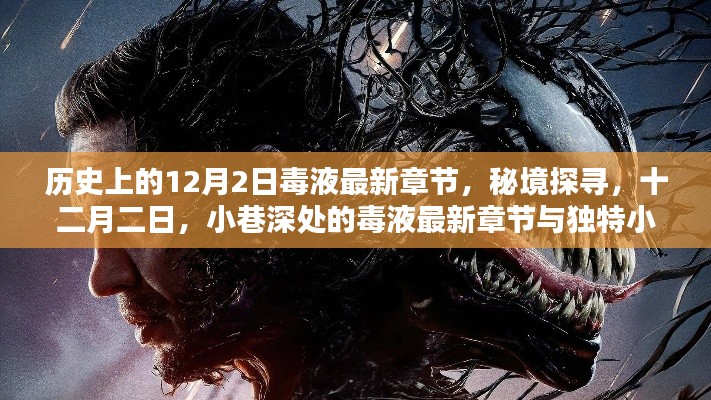 秘境探尋，毒液最新章節(jié)與獨(dú)特小店的奇妙邂逅在十二月二日