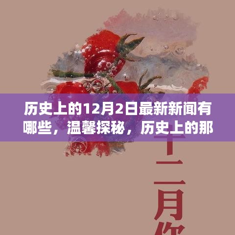 溫馨探秘，歷史上的十二月二日最新新聞與日常小故事回顧
