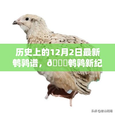 揭秘歷史上的鵪鶉新紀(jì)元，最新鵪鶉譜智能科技產(chǎn)品揭秘與回顧