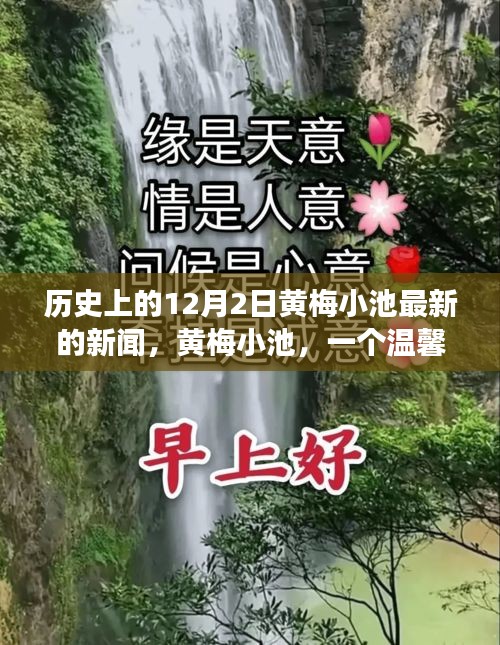 黃梅小池，溫馨日常與愛的紐帶——歷史上的今天新聞回顧，12月2日的愛與陪伴故事