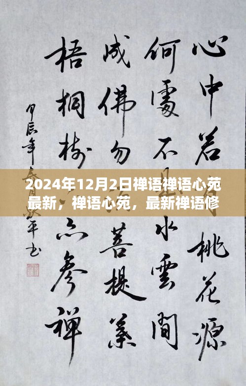 禪語(yǔ)心苑，最新禪語(yǔ)修行指南（初學(xué)者與進(jìn)階用戶適用）——每日禪悟，開(kāi)啟心靈之旅