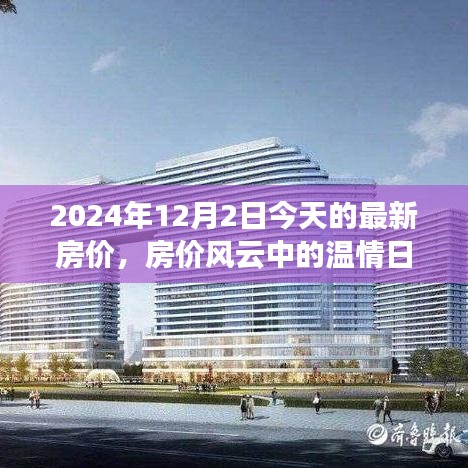 2024年房價風云揭秘，溫情日常與奇妙探房之旅