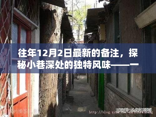 探秘小巷深處的獨特風味，一家隱藏版特色小店揭秘其秘密生活