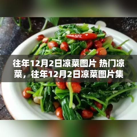 往年12月2日熱門涼菜集錦，揭秘涼菜魅力與圖片解密