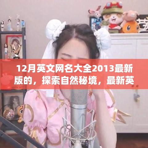 最新英文網(wǎng)名推薦，探索自然秘境的寧?kù)o之旅——十二月旅行指南（2023版）