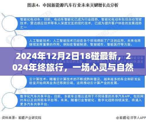 心靈與自然的碰撞，2024年終旅行記