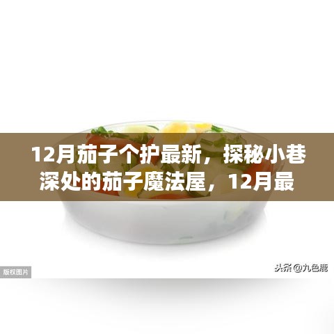 揭秘十二月的茄子護(hù)膚秘密，探秘小巷深處的魔法屋，最新茄子個(gè)護(hù)指南