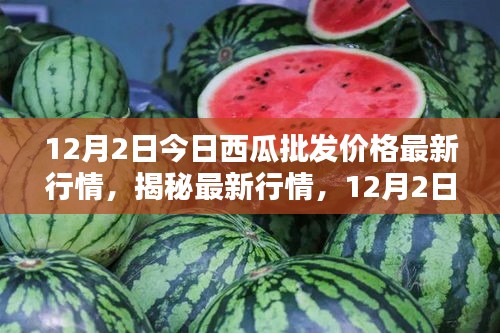 揭秘最新行情，深度解析12月2日西瓜批發(fā)價(jià)格走勢(shì)及最新行情