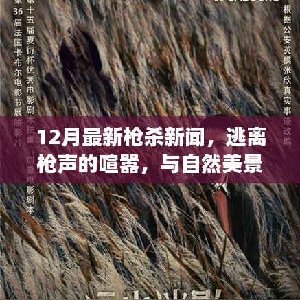 十二月槍案背后的逃離之旅，追尋內(nèi)心平靜的旅行記
