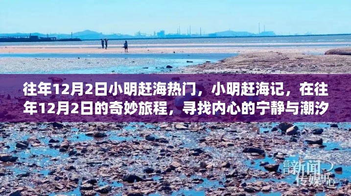 小明趕海記，尋找潮汐之聲與內(nèi)心的寧?kù)o之旅