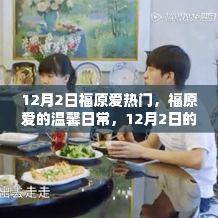 福原愛，溫馨日常中的意外驚喜與友情力量，12月2日的聚焦時(shí)刻