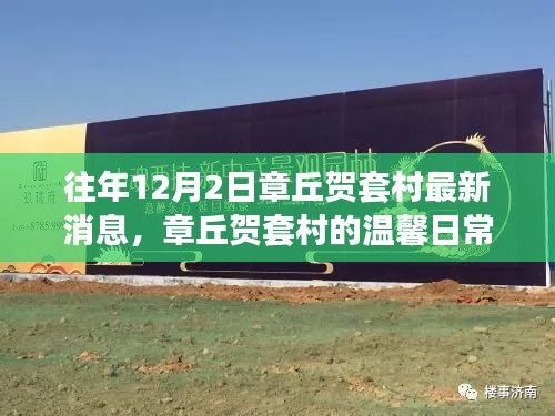 章丘賀套村12月2日最新動態(tài)，溫馨日常的嶄新篇章