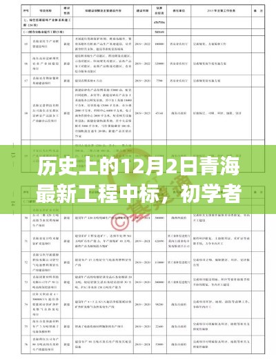 歷史上的12月2日青海最新工程中標，初學(xué)者與進階用戶的全程指南