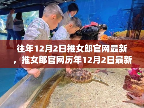 推女郎官網(wǎng)歷年12月2日回顧，從起步到時代足跡的歷程