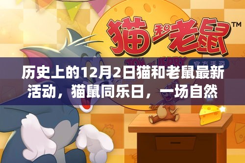 貓鼠同樂日，自然美景中的心靈之旅與貓和老鼠最新活動紀(jì)念時(shí)刻