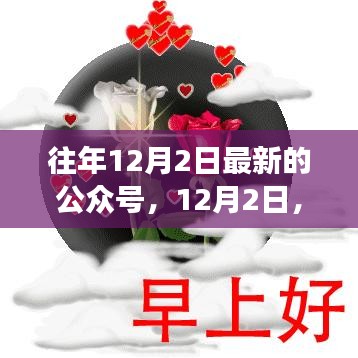公眾號里的溫馨日常故事，友情、家庭與愛的紐帶紐帶（12月2日更新）