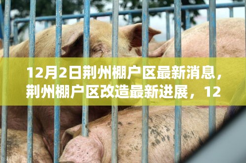 荊州棚戶區(qū)改造最新進展深度報道，12月2日更新消息