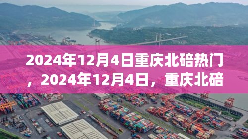 2024年12月4日重慶北碚之旅，探尋自然美景，重拾心靈寧靜