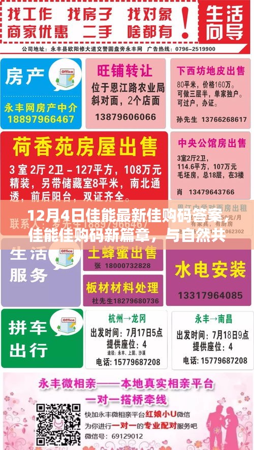 佳能佳購碼新篇章揭秘，與自然共舞，探尋心靈寧靜之地（12月4日最新答案）