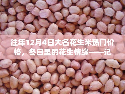 冬日花生情緣，探尋大名花生米熱門價格與奇妙之旅