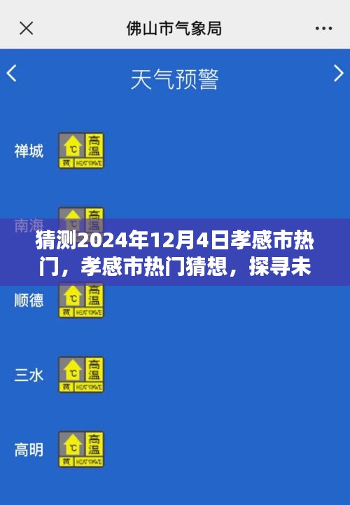 探尋孝感市未來魅力風(fēng)采，2024年12月4日熱門猜想與風(fēng)采展望