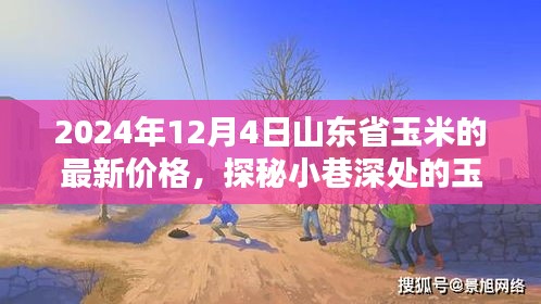 山東省玉米秘境探秘，最新價格與隱藏特色小店的奇妙邂逅