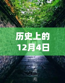 歷史上的12月4日潁上易景售樓盛況揭秘，巷陌間的夢(mèng)幻售樓空間獨(dú)特記憶