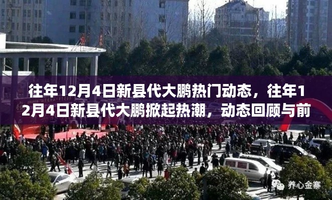 往年12月4日新縣代大鵬，熱門動態(tài)回顧與未來前瞻，掀起熱潮的焦點時刻