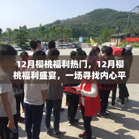 12月櫻桃福利盛宴，心靈寧靜的櫻桃之旅