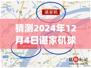諶家磯球場最新動態(tài)展望，未來賽事猜想（2024年12月4日）