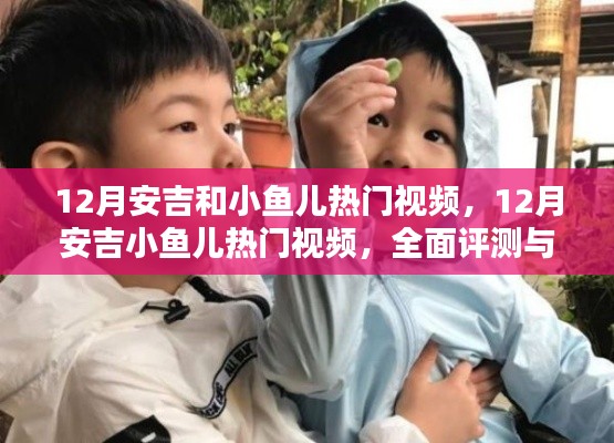 全面評測與深度介紹，12月安吉小魚兒熱門視頻匯總